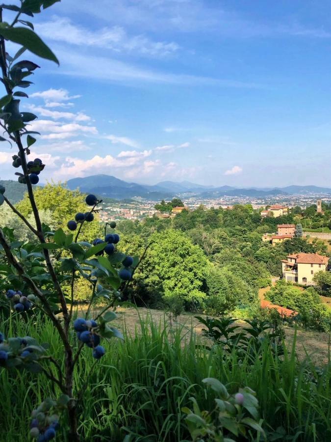 Foresteria Antica Bastia B&B Bergamo Exteriör bild